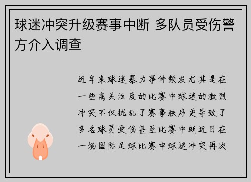球迷冲突升级赛事中断 多队员受伤警方介入调查