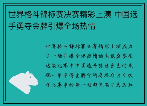世界格斗锦标赛决赛精彩上演 中国选手勇夺金牌引爆全场热情