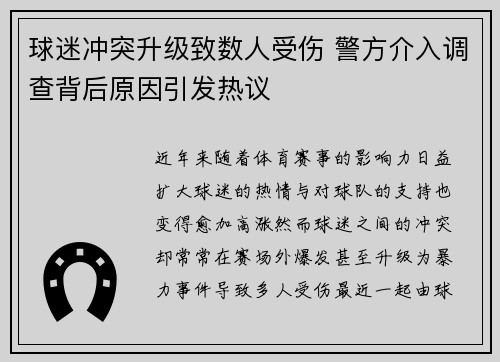 球迷冲突升级致数人受伤 警方介入调查背后原因引发热议